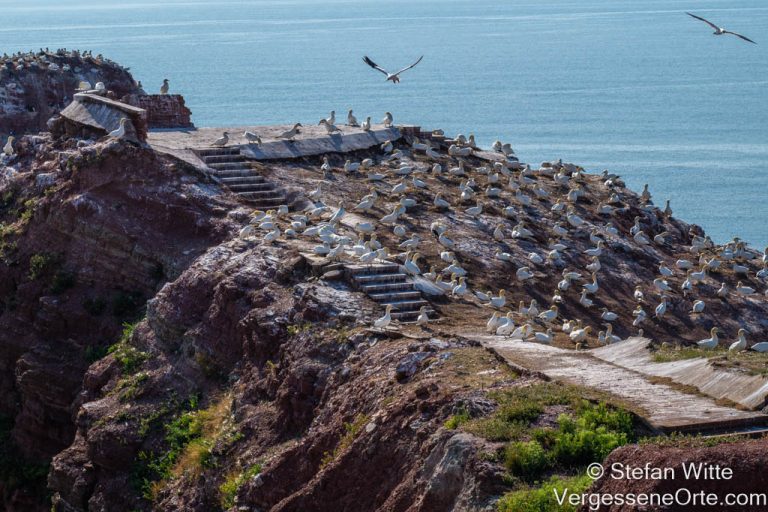 Die alten Bunker auf Helgoland Vergessene Orte